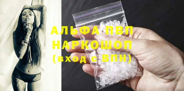 прущий лед Богданович