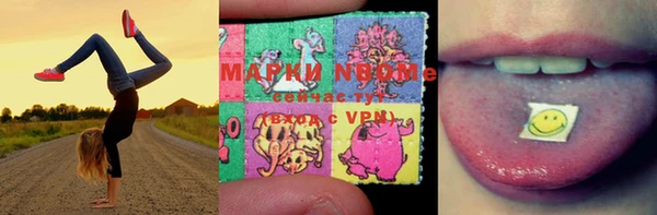 крисы Богородск