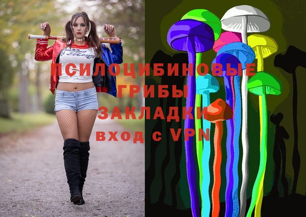 крисы Богородск
