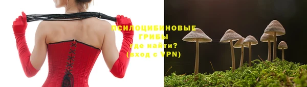 метадон Богородицк