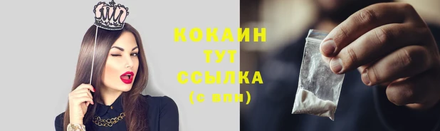 прущий лед Богданович