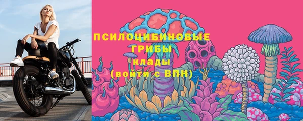 СК Беломорск