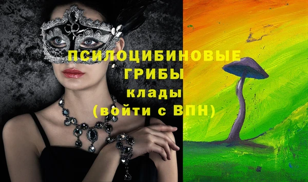 метадон Богородицк