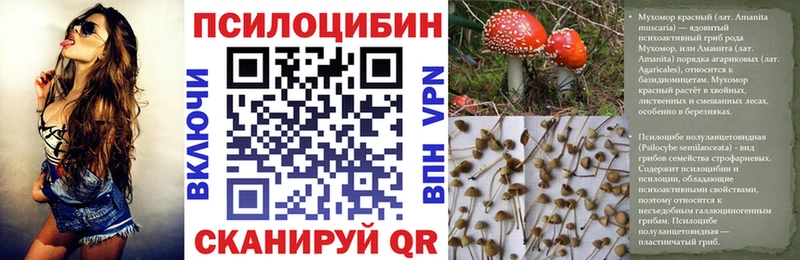 сколько стоит  Невель  блэк спрут вход  Галлюциногенные грибы мицелий 